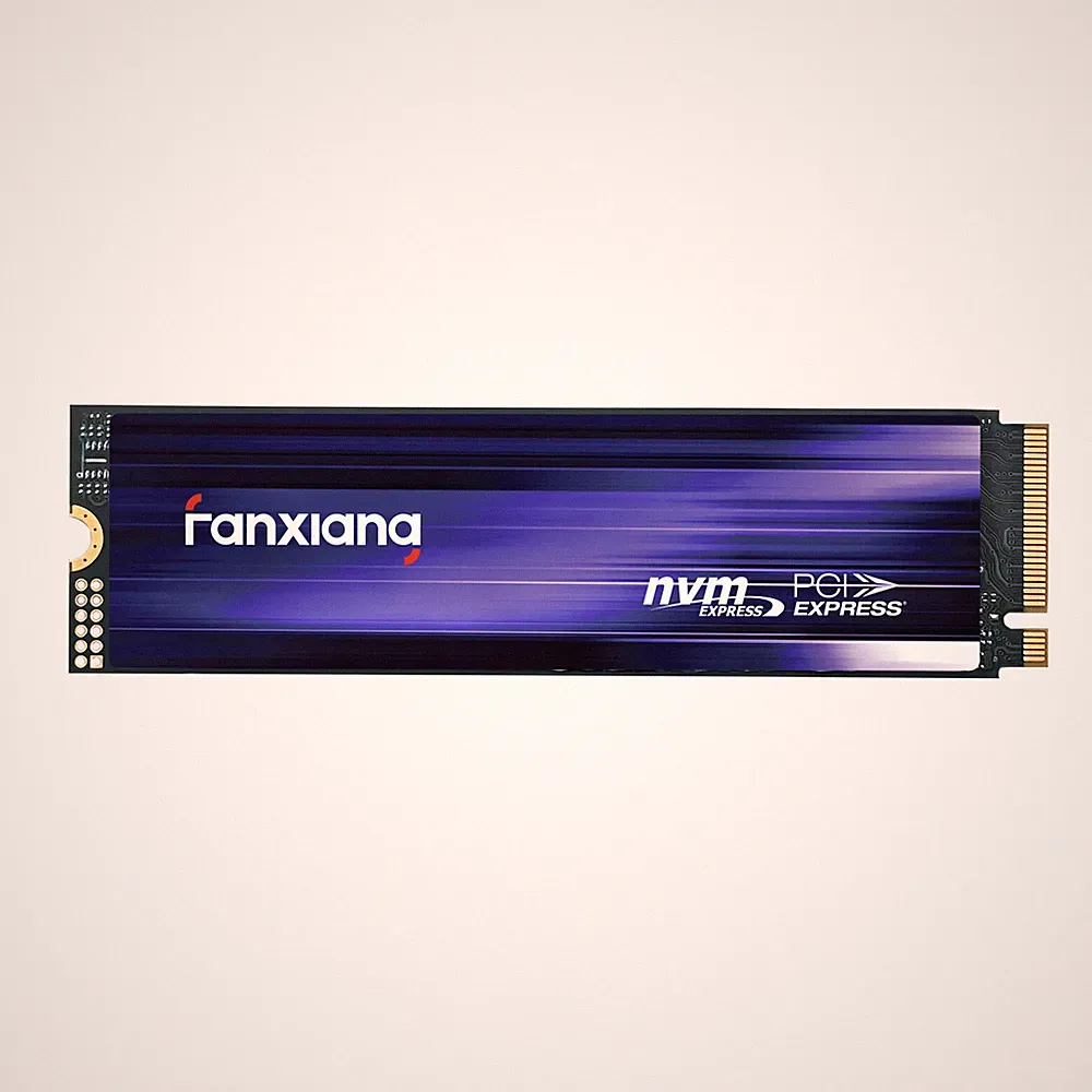 Fanxiang PS5 SSD 1TB 2TB 4TB SSD M.2 NVME SSD 7300MBS PCIe 4.0 Solid State Drive